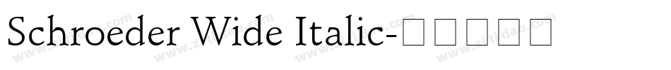 Schroeder Wide Italic字体转换